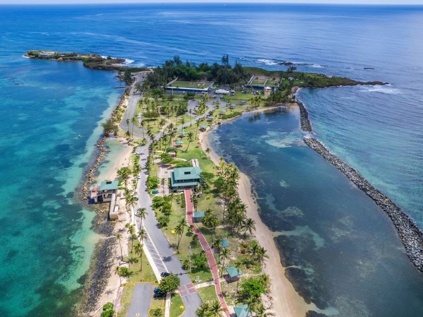 Isla de Cabras beach 2