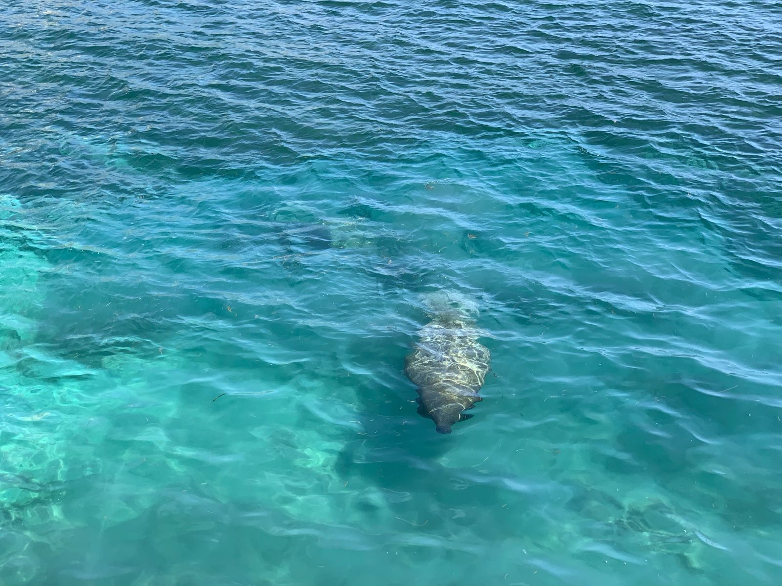 Playita del Condado beach 2