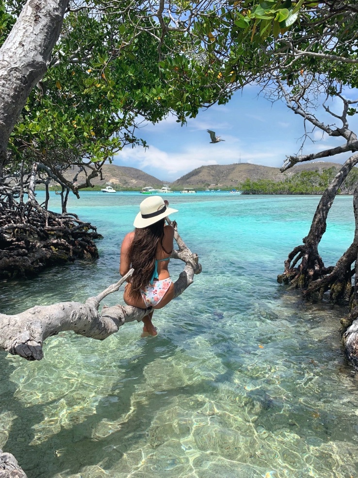 Cayo Enrique mangrove channels – snorkeling in La Parguera