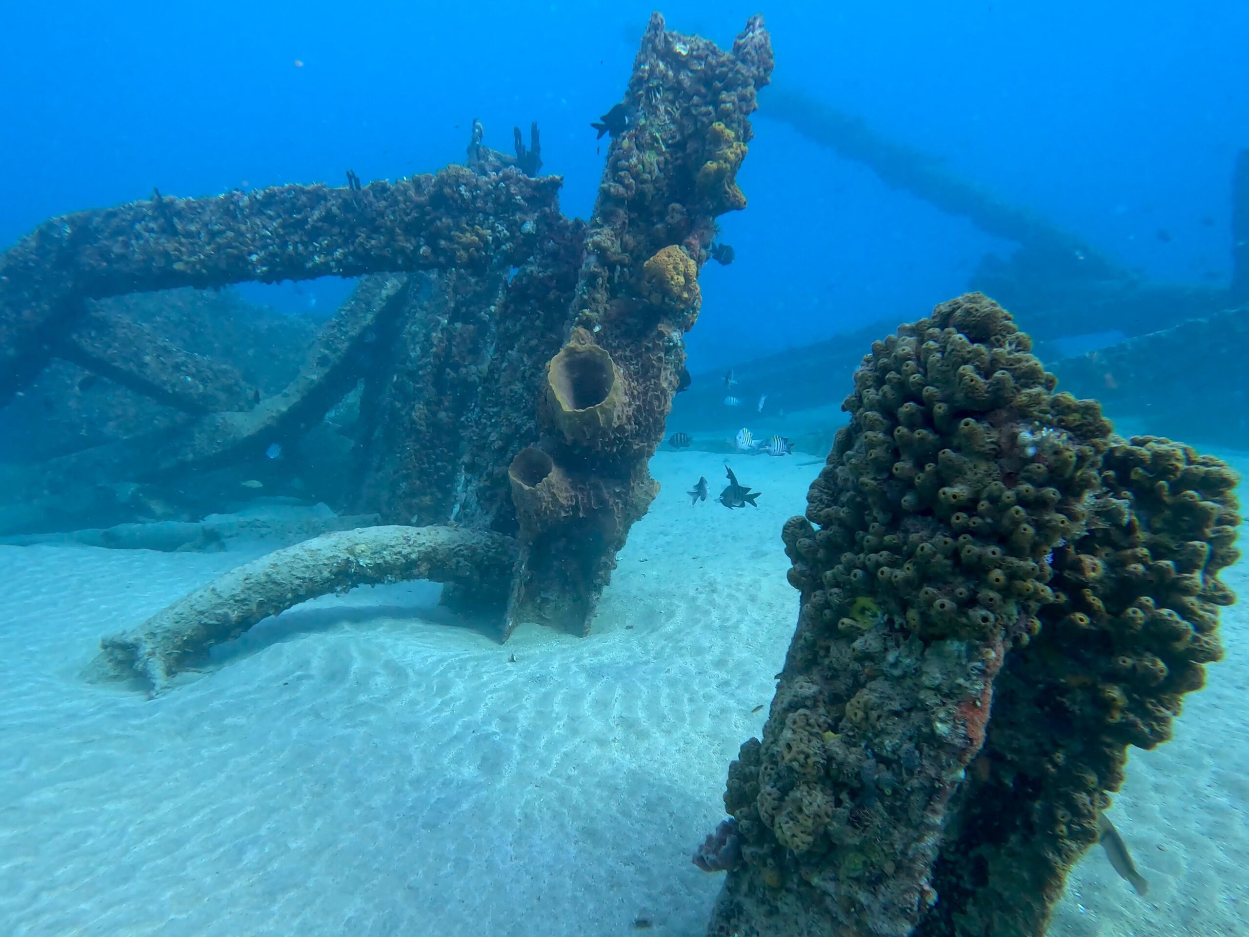 Underwater at Crash Boat – corals and fish for snorkeling