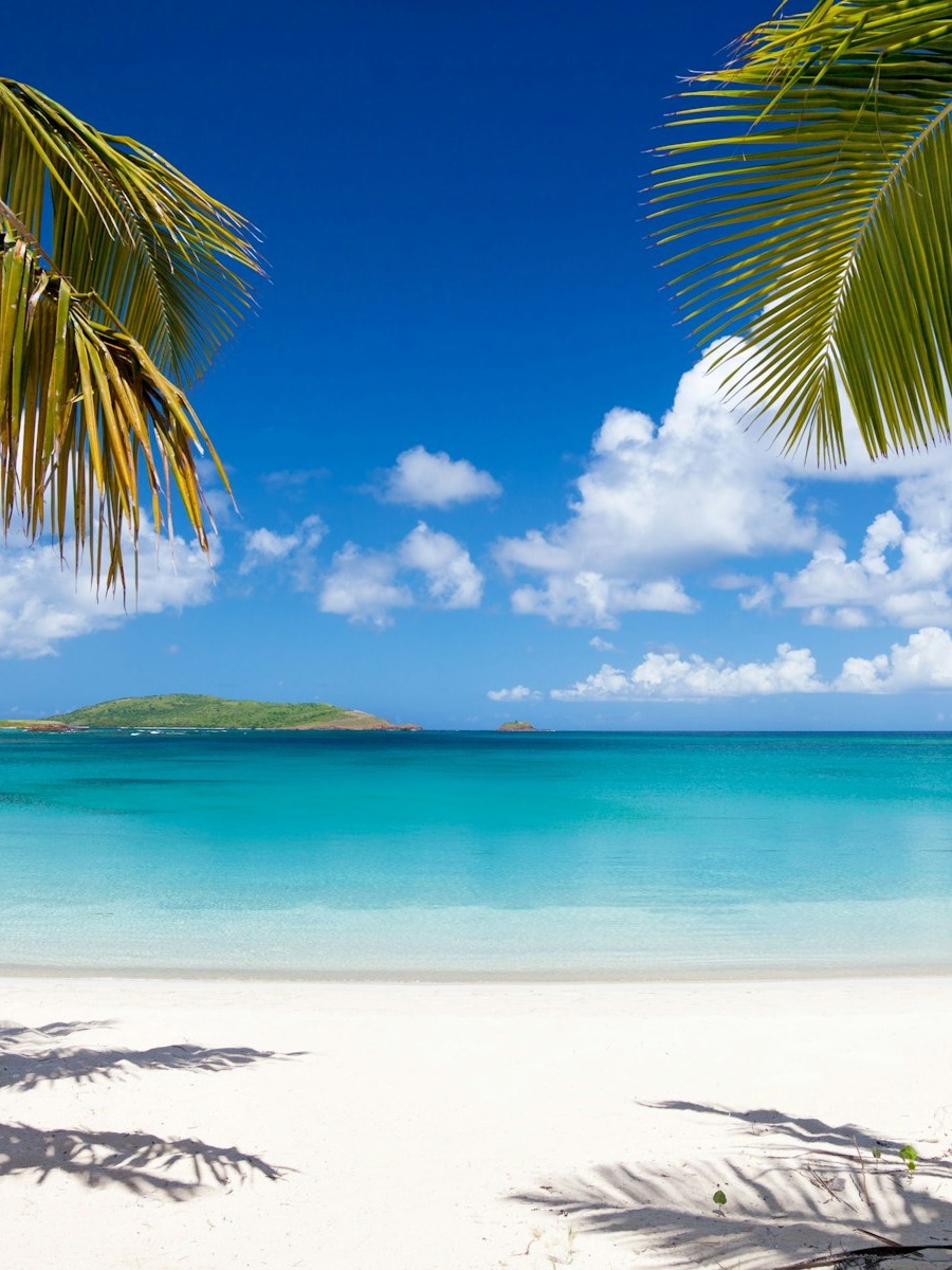 Playa Tamarindo shoreline – turtle snorkeling in Culebra