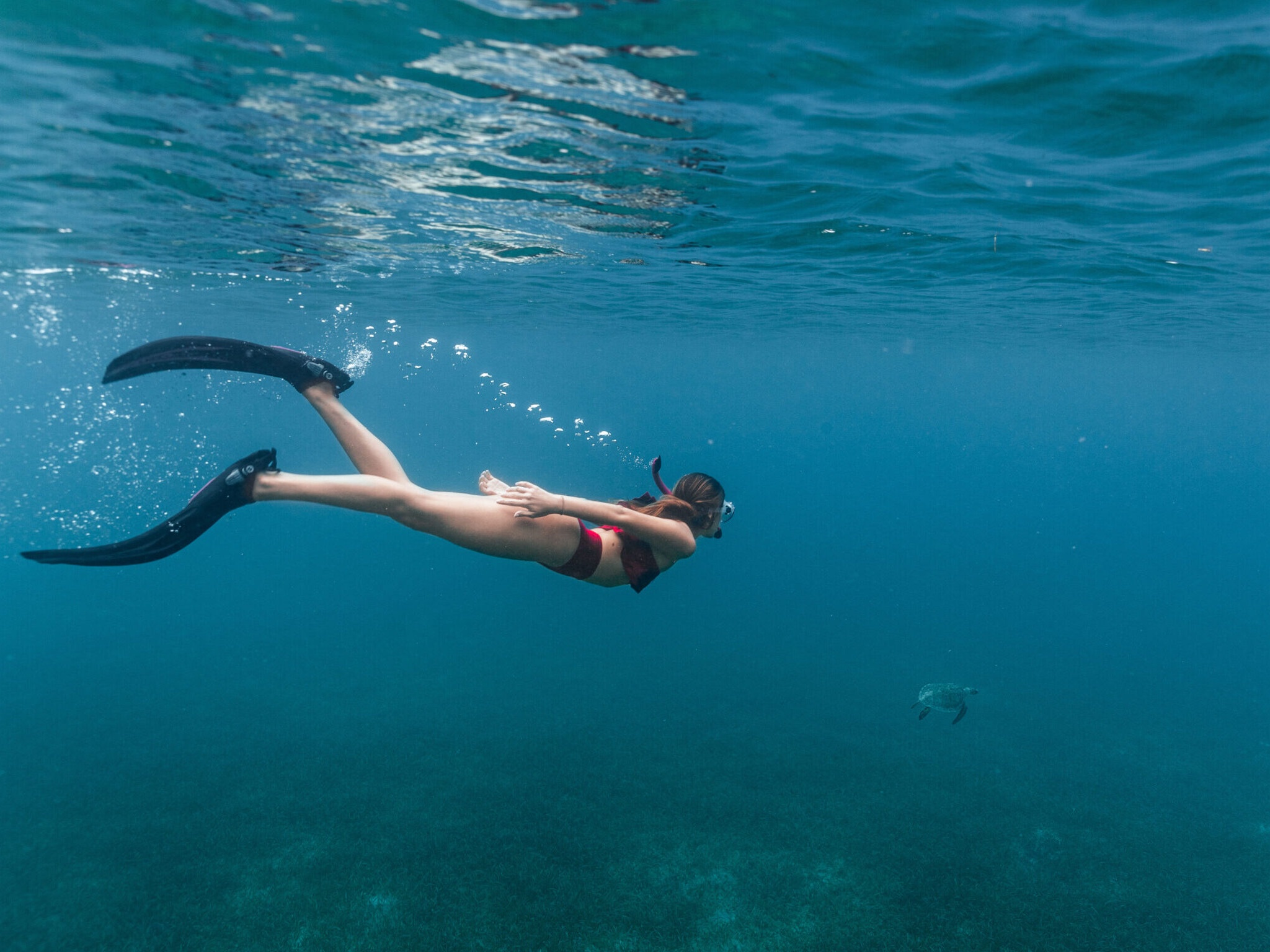 Playa Tamarindo underwater – sea turtles and seagrass