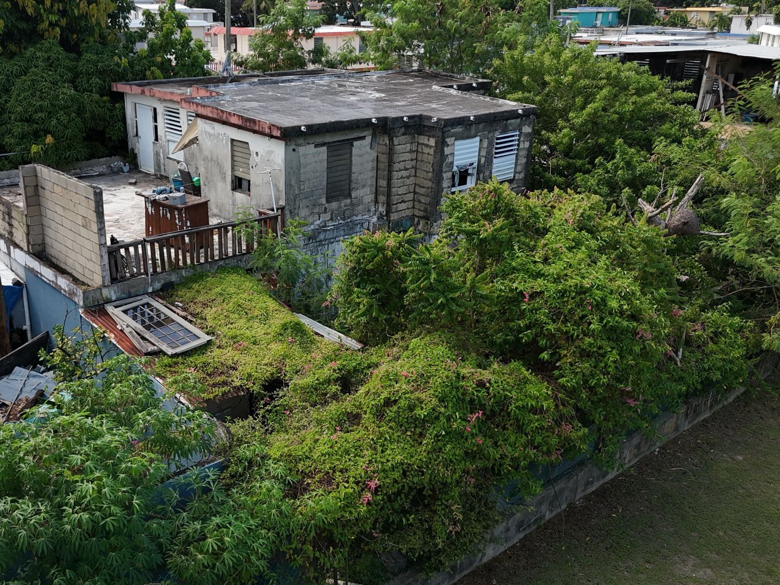 Backyard before demolition and clean up