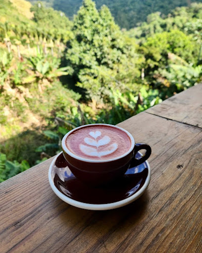 Café Tres Picachos coffee and frituras on a wooden table