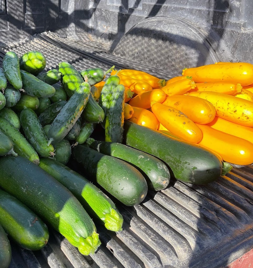 Finca La Zafra roasted pork with yuca al mojo